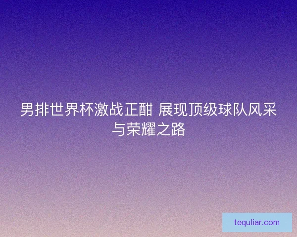 男排世界杯激战正酣 展现顶级球队风采与荣耀之路
