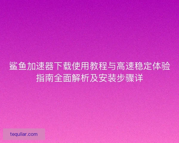 鲨鱼加速器下载使用教程与高速稳定体验指南全面解析及安装步骤详